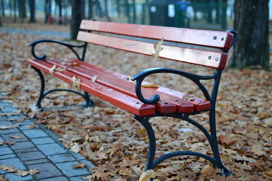 dried, leaf, empty, bench, park, melancholia, autumn, reverie, spacer, relaxation