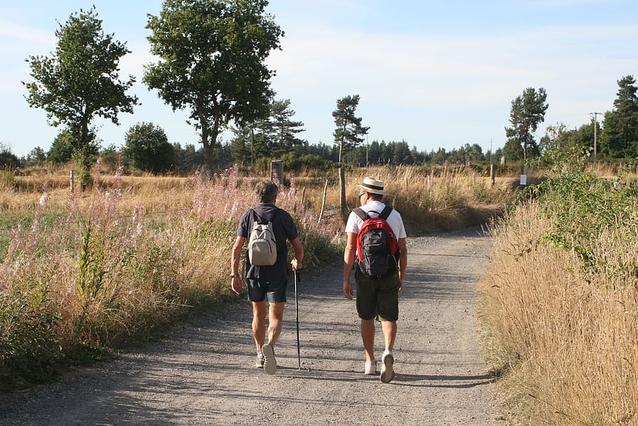 Caminantes, camino, camino rural, senderismo, solo para adultos, en movimiento, longitud completa, adulto medio, correr, caminar