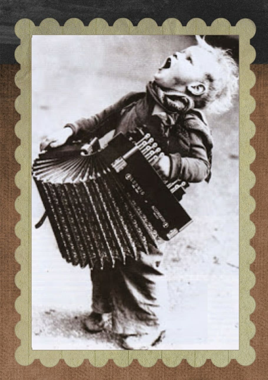 boy playing accordion, vintage, boy, accordion, music, sing, portrait, kid, childhood, young