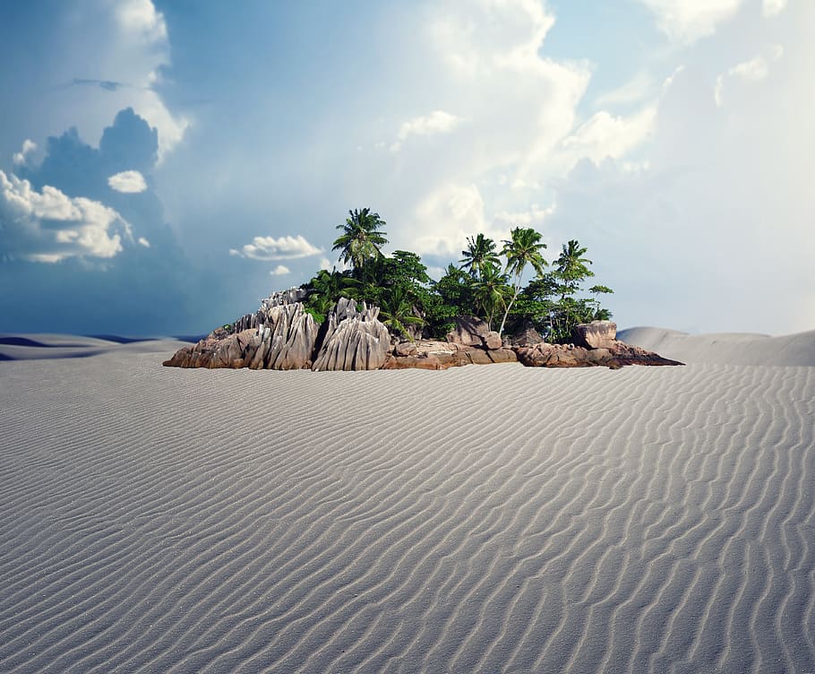 nature, oasis, palm, land, cloud - sky, sky, sand, scenics - nature, tranquil scene, tranquility