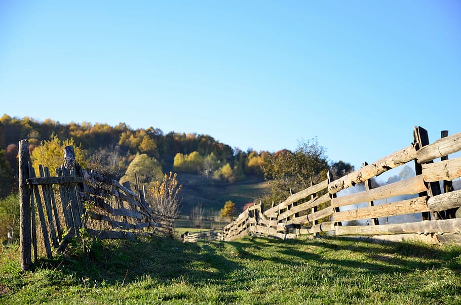 pathway, wooden, farm railings, day time, farm, railings, day, time, fence, nature