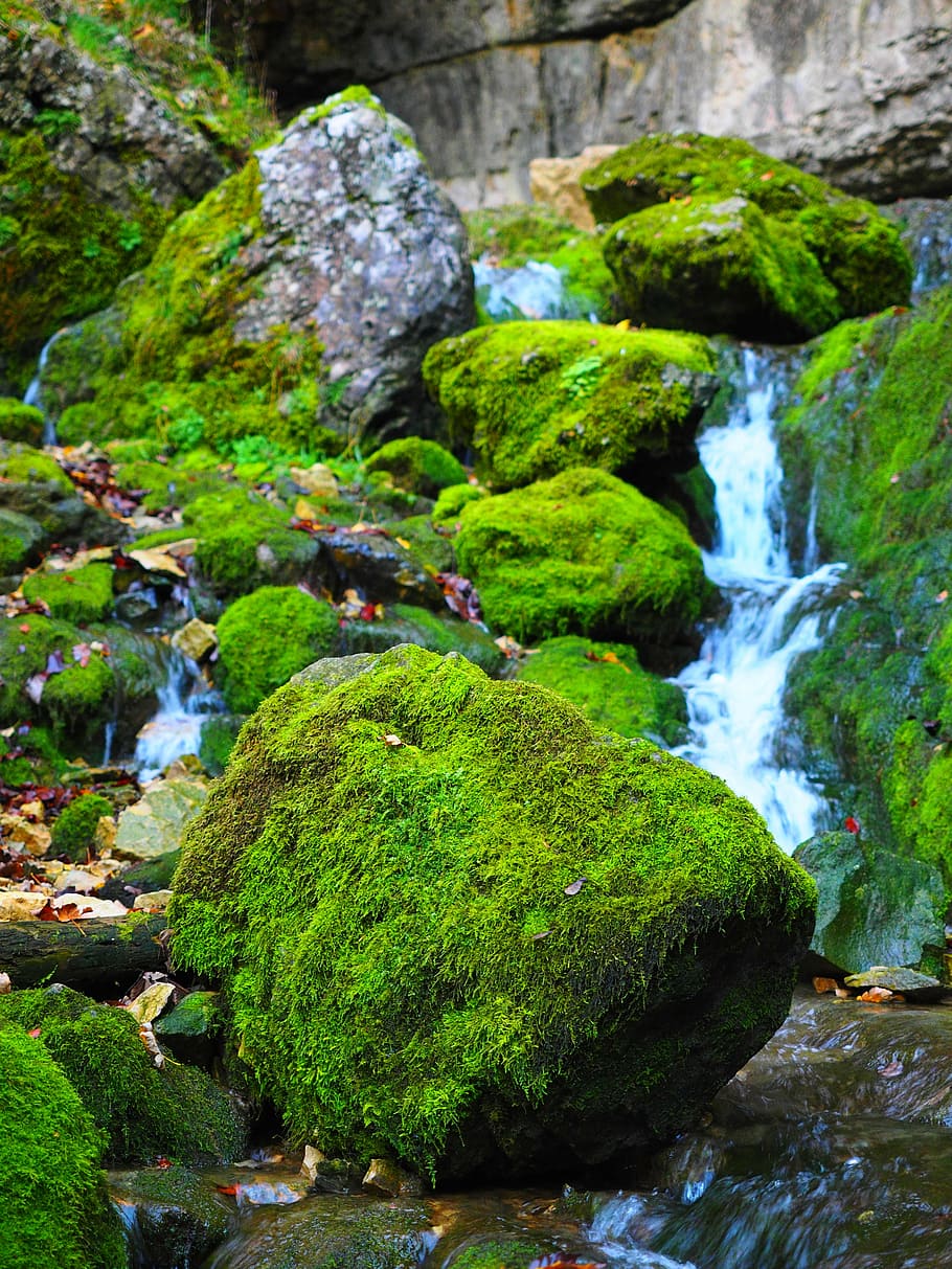 piedras, verde, musgo, agua, durante el día, elsach, río, cueva falkensteiner, baden württemberg, alba swabian
