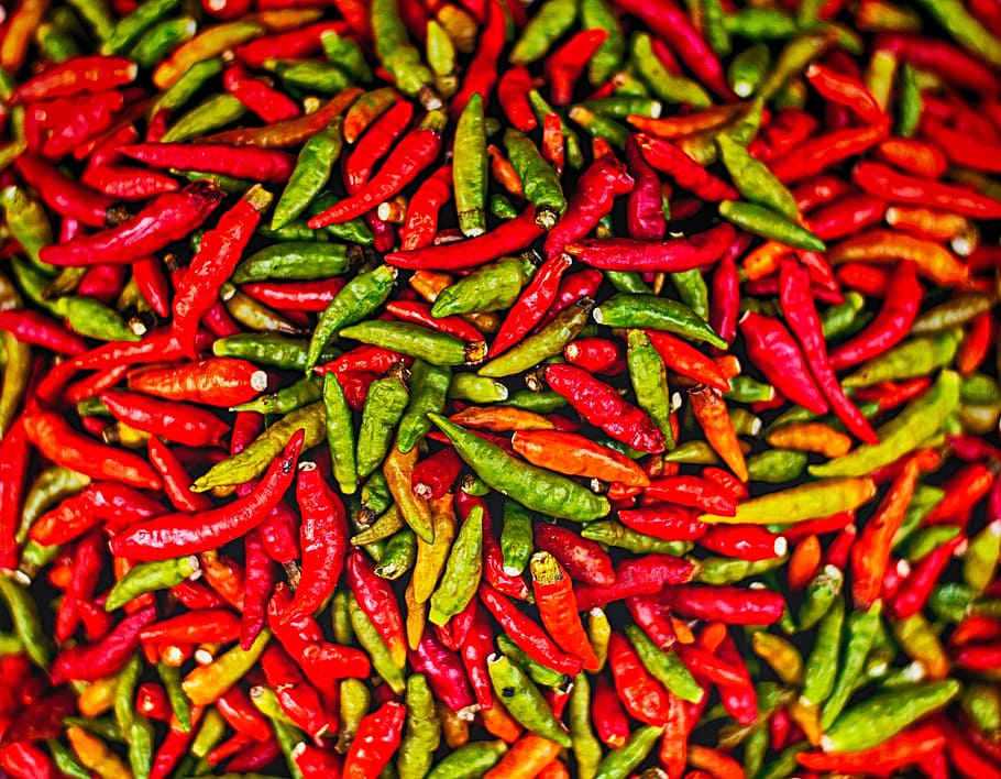 bunch, red, green, chili, Chilli, Pepper, Spicy, Hot, Spice, chilli, pepper