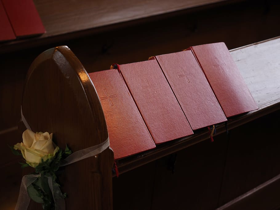 song books, books, sing, songs, church, hymns, red, wood - Material, flower, flowering plant