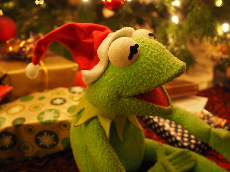 kermit, frog, plush, toy, christmas frog, christmas, santa claus, cheerful, funny, good mood