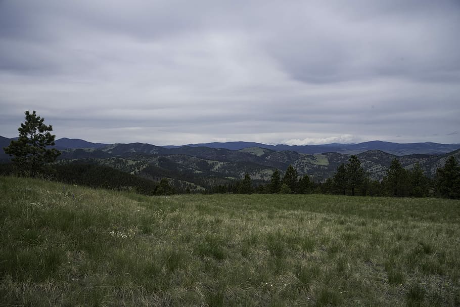 berumput, lanskap, Bukit, Helena, montana, domain publik, indah, Amerika Serikat, alam, pemandangan