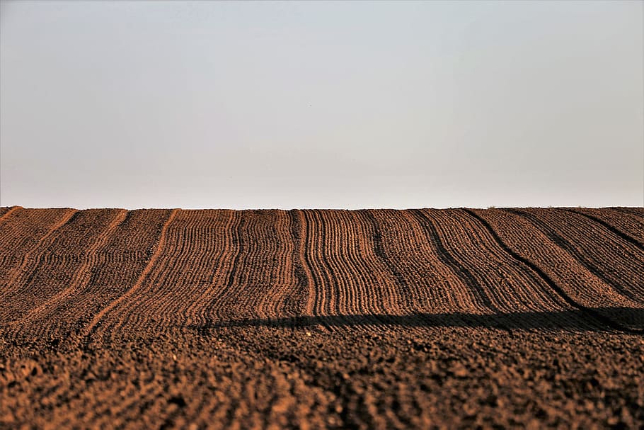agriculture, ploughed land, field, landscape, countryside, rural, summer, nature, outdoor, copy space