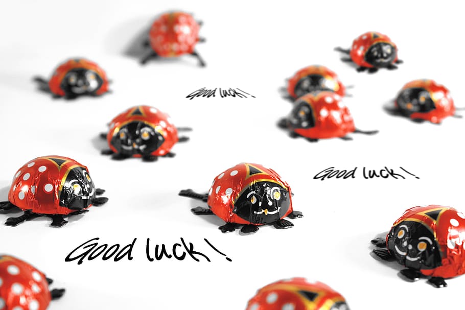 ladybag porcelain decors, good, luck text overlay, Ladybug, Luck, Greeting Card, greeting, joy, frohsinn, joy of life