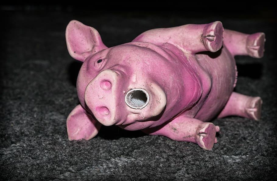 piggy, the pig, toy, rubber, dog, pink, pink color, pig, mammal, single object
