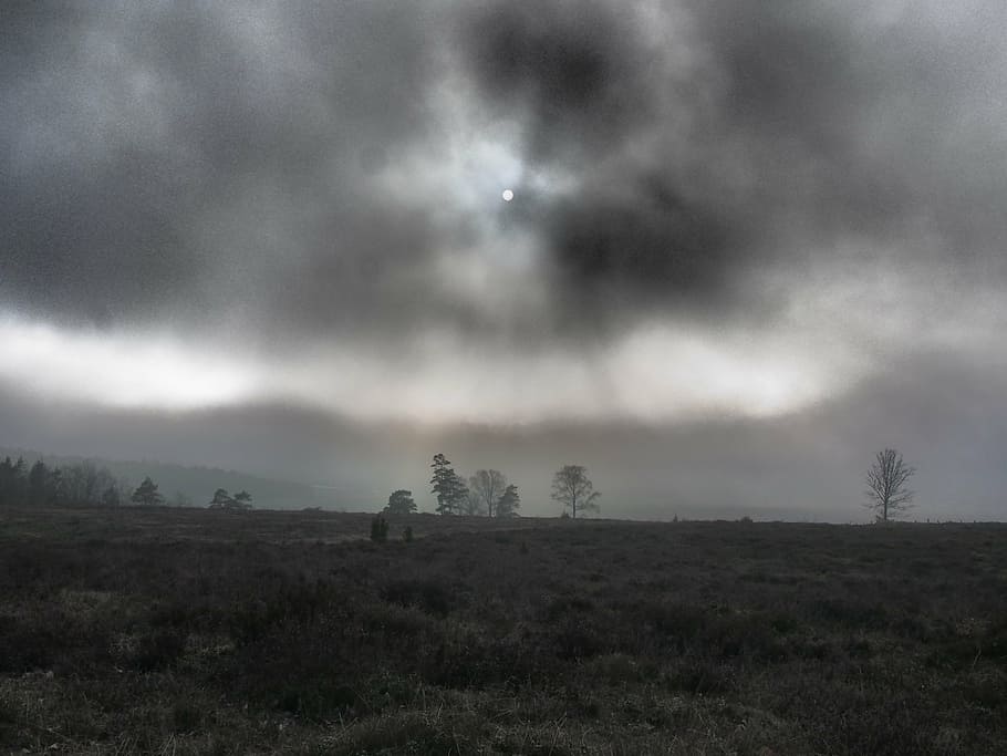 moorland, mist, autumn evening, nature, mystery, cloud - sky, sky, environment, landscape, land