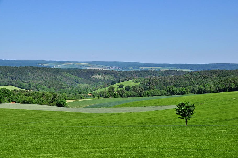 Landscape, Hilly, Green, Tree, Sky, green, tree, outlook, agriculture, field, green color