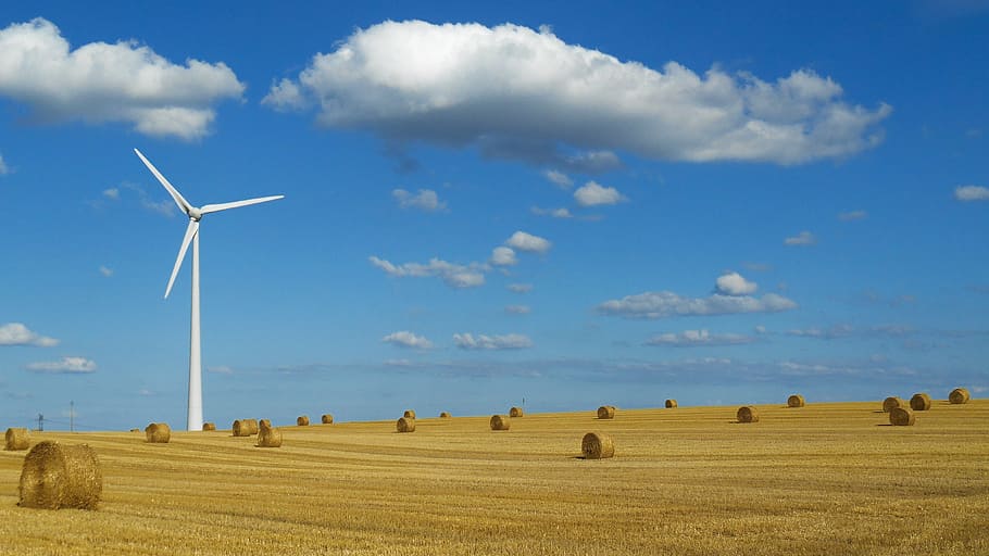 white, windmill, brown, hay field, rolls, daytime, landscape, wind turbine, sky, blue