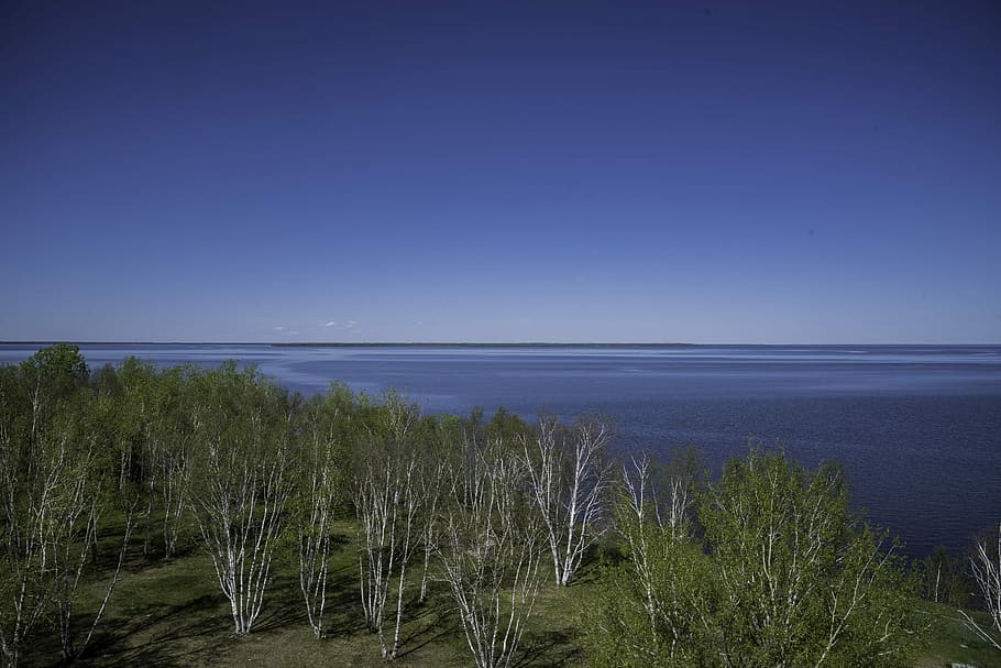 forest, observation tower, View, Lake Winnipeg, canada, hecla provincial park, lake, landscape, landscapes, public domain