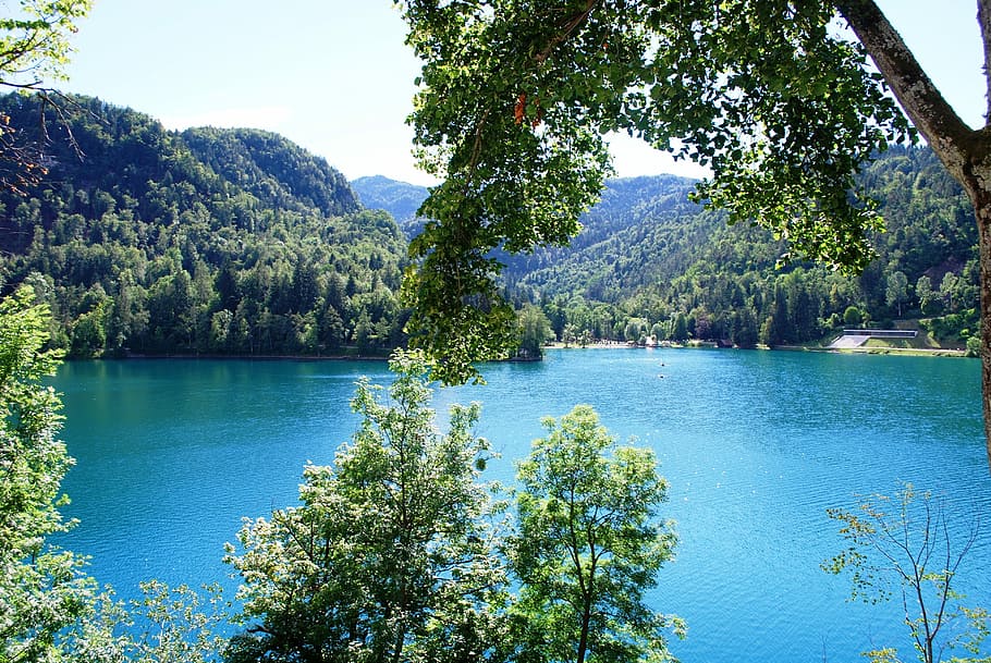 Lago Bled, Eslovenia, naturaleza, pacífica, Europa, colinas, agua, árbol, pintorescos, lago