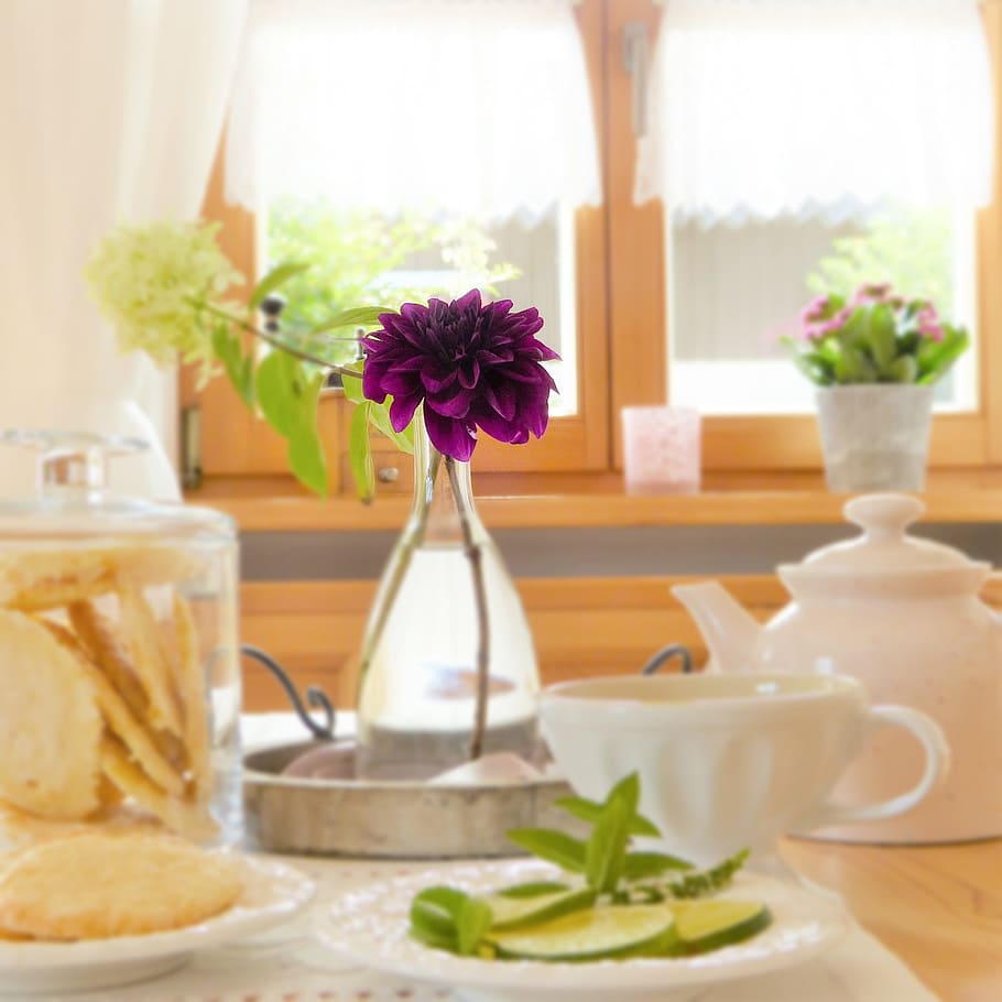 purple, dahlia flower, clear, glass vase, table, covered, flower, dahlia, teapot, cup