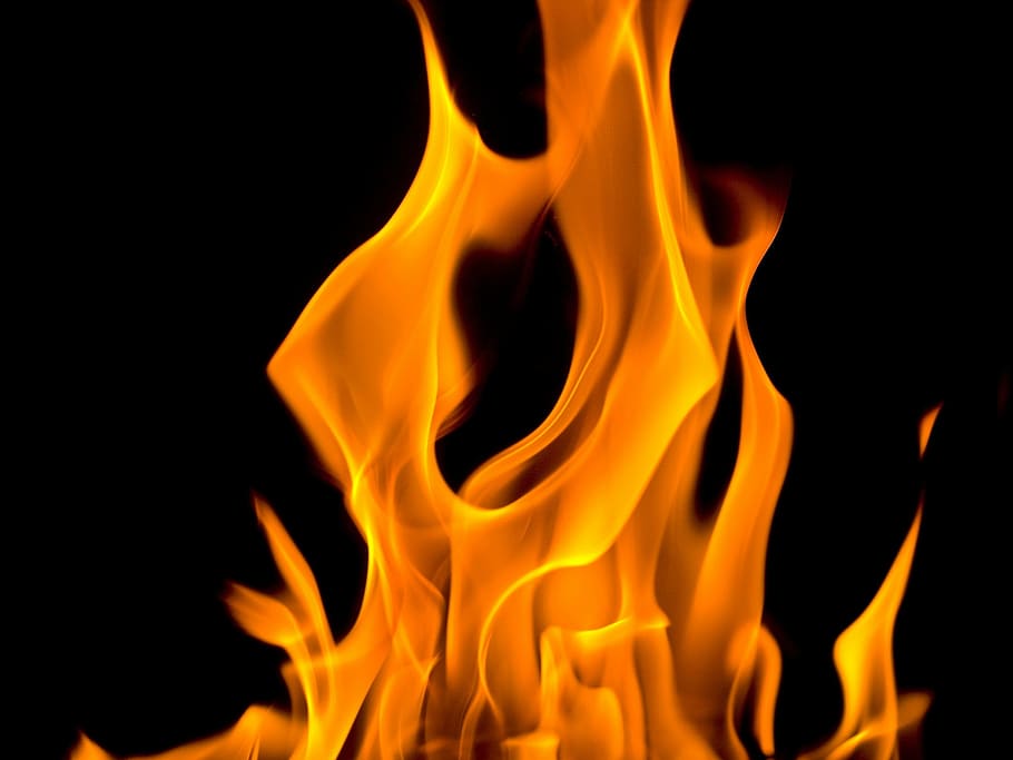flame, black, background illustration, flames, flickering, fire, hot, burning, study, energy