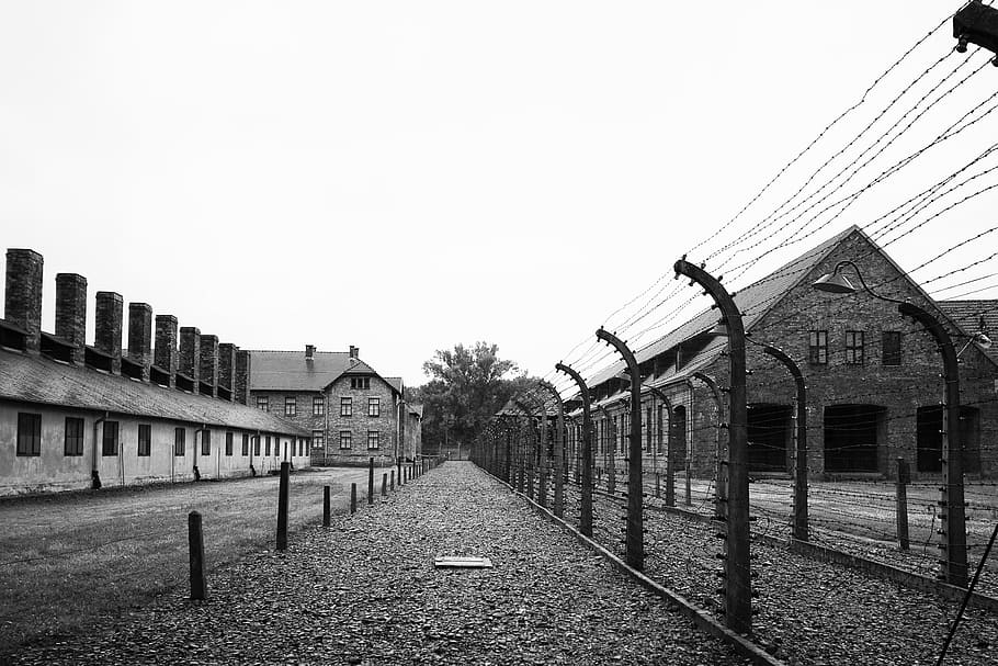 war, fence, military arm, krakow, military, poland, concentration camp, nazism, auschwitz, prison
