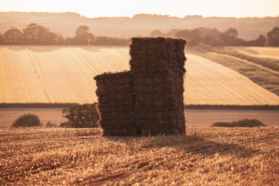 hay bale, haystack, summer, harvest, england, english countryside, countryside, straw, rural, field