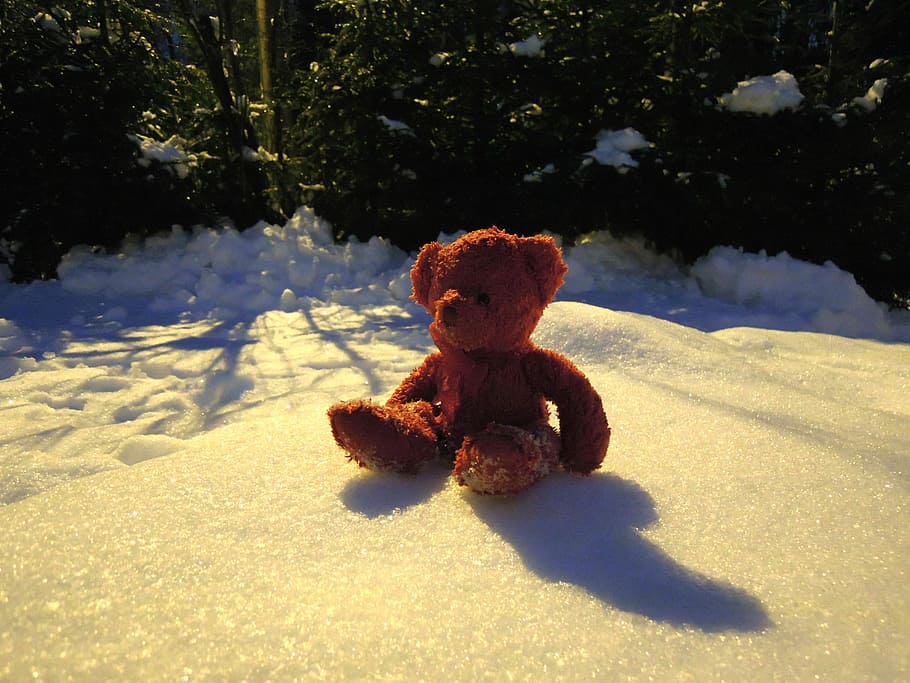 Teddy Bear, Red, Snow, Winter, Frost, red, snow, nature, snowy, bear, toy