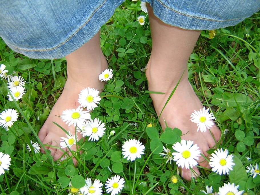 orang, berdiri, bidang bunga aster, kaki anak-anak, padang rumput, musim semi, bertelanjang kaki, kaki, bunga, tanaman berbunga
