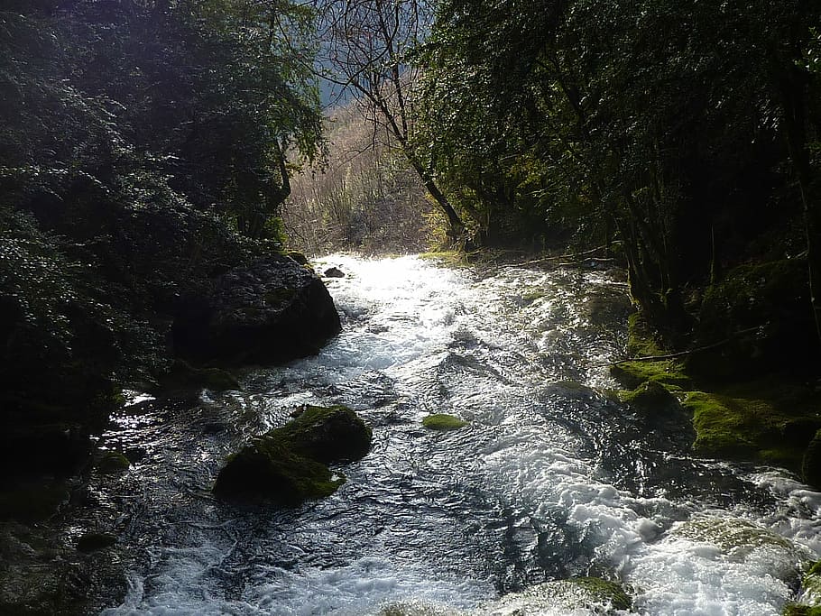 Río, Imagen, Roca, bosque, naturaleza, cascada, ninguna gente, árbol, agua, belleza en la naturaleza