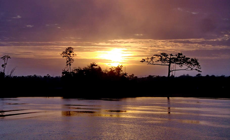 gayana, the river demerara, demerara river, jungle, river, dawn, landscape, morning, water, sunrise