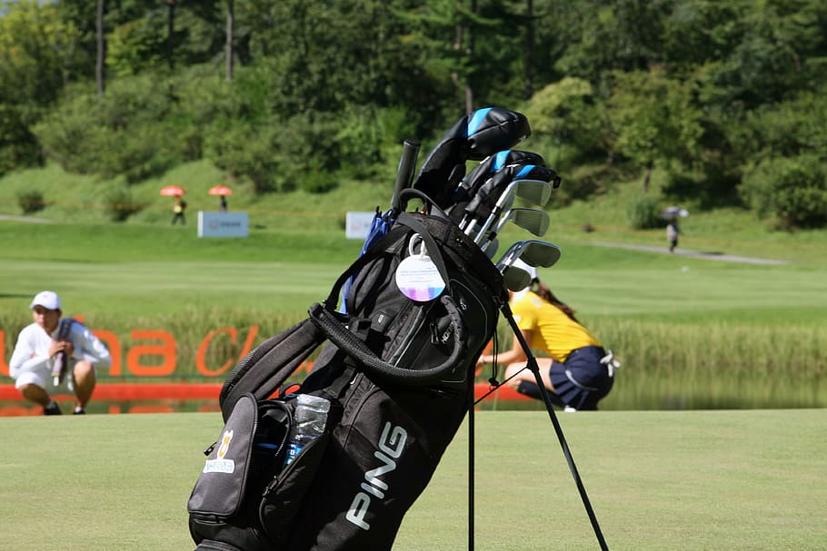 black, ping golf bag, filled, golf clubs, golf field, golf, golf tournament, golf course, golf players, golf bags
