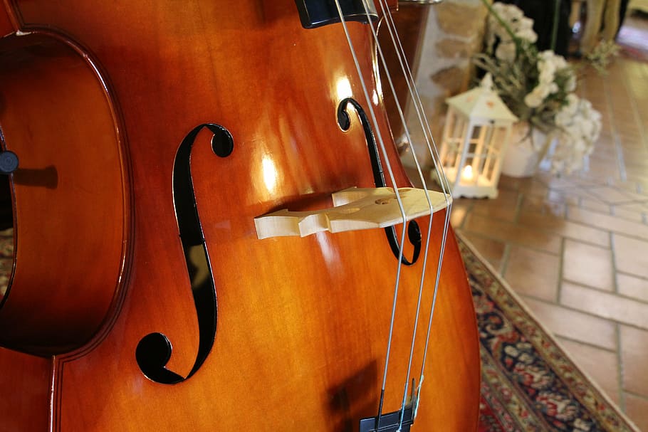 violonchelo, alfombra de área, contrabajo, instrumentos musicales, archi, concierto, música, instrumento musical, cuerdas, muebles