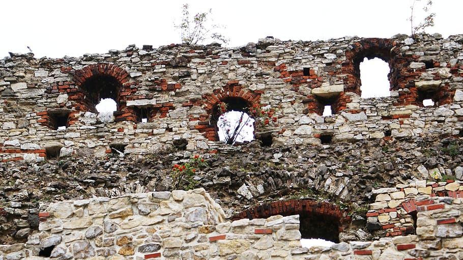 las ruinas del, castillo, vista, paredes, monumento, turismo, lago dusia, antiguo, arquitectura, polonia