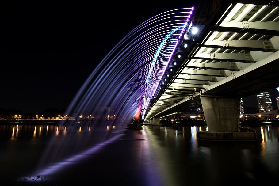 gray, bridge, night time, night view, river, daejeon expo bridge, reflect, bridge lighting, chapter impressions, night scenery
