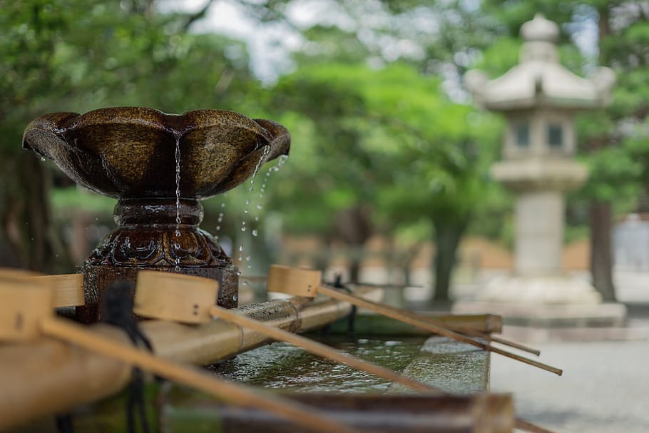 water, fountain, tree, plant, blur, nature, architecture, day, wood - material, built structure