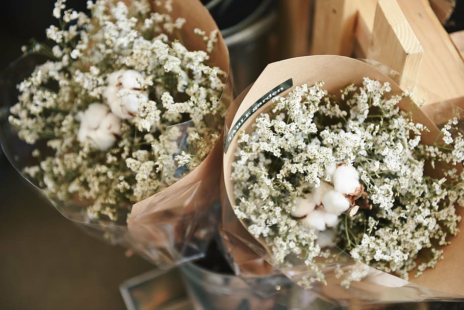 two, baby, breath flowers, cotton bolls bouquets, flowers, bouquet, gift, bunch, paper, wedding