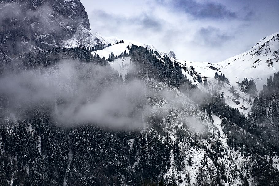 foto de paisagem, montanha, coberto, pedra, preto, branco, neve, vale, árvore, planta