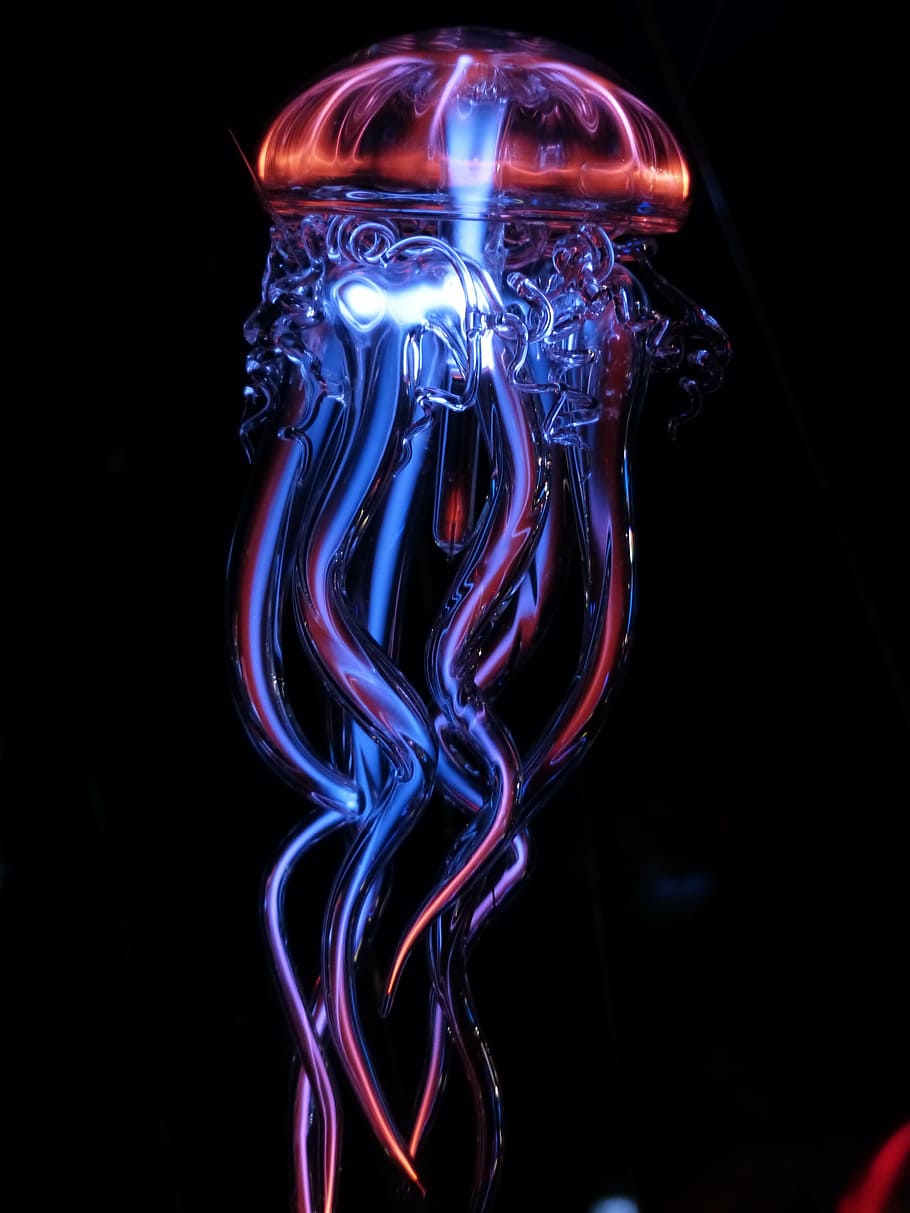 red, blue, jellyfish, luminous jellyfish, light, light phenomenon, lichtspiel, glass, glasses, illuminated