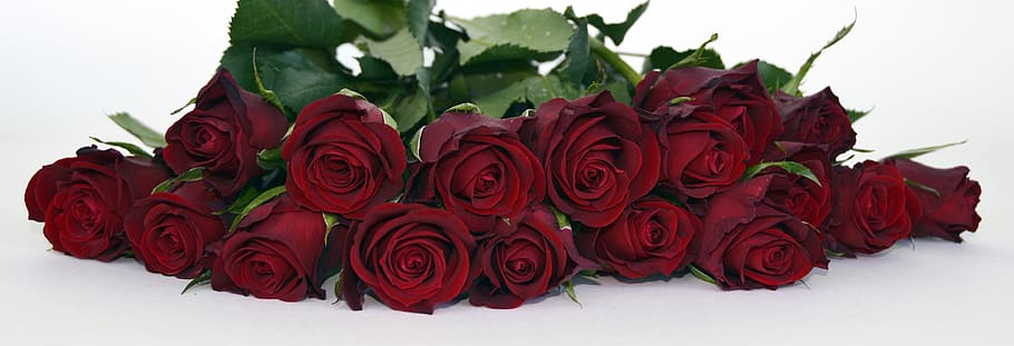 lote de rosas vermelhas, rosas, buquê de rosas, buquê, strauss, flores, romance, vermelho, rosas vermelhas, dia do casamento