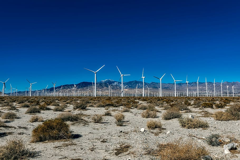 lote de molinos de viento, parque eólico, california, desierto, energía, turbinas, molinos de viento, arena, cielo, montañas