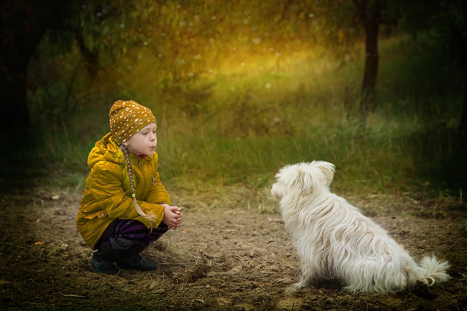 niña, amarillo, frente de ubicación de la chaqueta, mediano, blanco, perro, durante el día, amistad, sin embargo, amigos