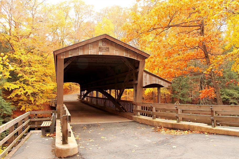 brown, wooden, bridge, surrounded, trees, covered bridge, autumn, fall, leaves, yellow