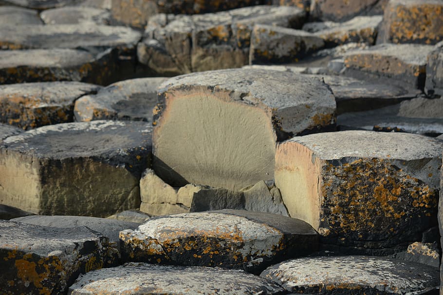 nature, ireland, giant causeway, log, wood - material, timber, solid, stack, day, deforestation