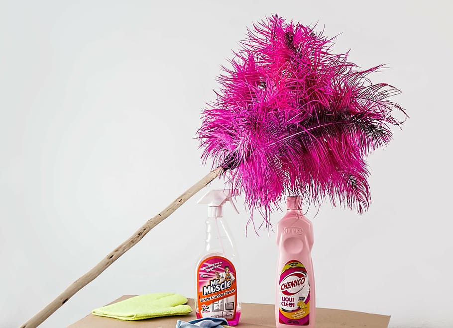 pink, black, feather duster, spray bottle, cleaning, housework, cleaner, domestic chores, housekeeping, spray