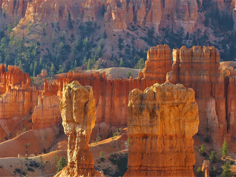 ブライスキャニオン, 砂岩, ハイキング, 赤い砂岩, ユタ, 岩-オブジェクト, 岩の形成, 自然, 人なし, 屋外