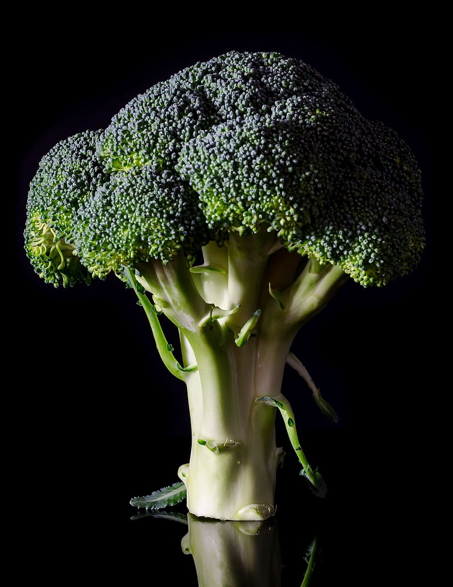 broccoli vegetable, broccoli, fresh, food, healthy, vegetable, diet, green, vegetarian, fresh vegetables
