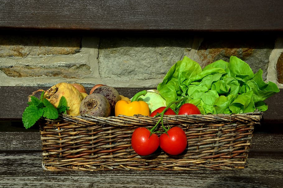 bunch, vegetables, basket, tomatoes, salad, vegetable basket, garden, harvest, frisch, vegetarian