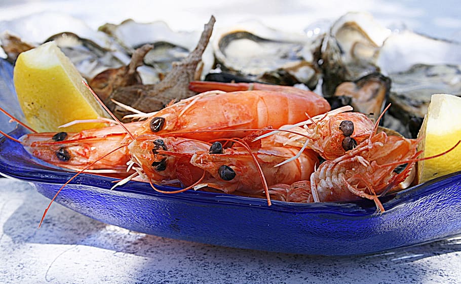 fresh shrimps, shrimp, oyster, seafood, oysters, crustaceans, food, crustacean, food and drink, animal