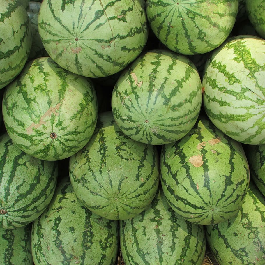 watermelon lot, watermelon, melon, citrullus lanatus, red, fruit, summer, juicy, seeds, india