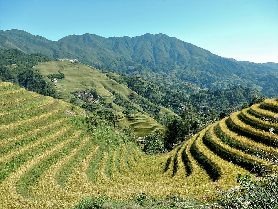 terraços de arroz, azul, céu, dia, campos de arroz, natureza, montanhas, paisagem, verde, céu azul