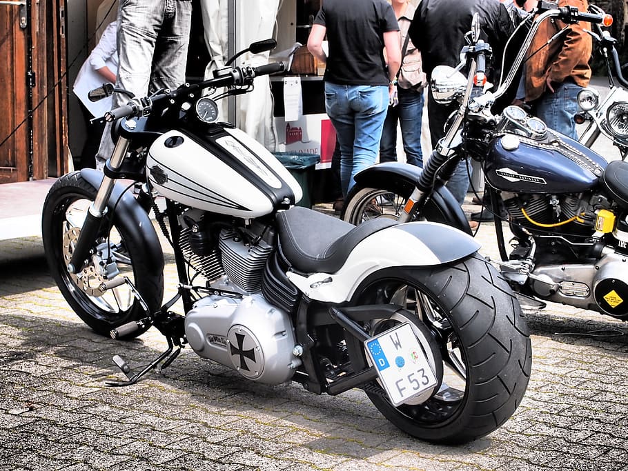 white, black, cruiser motorcycle, parked, outdoors, Harley Davidson, Motorcycle, harley, transportation, mode of Transport