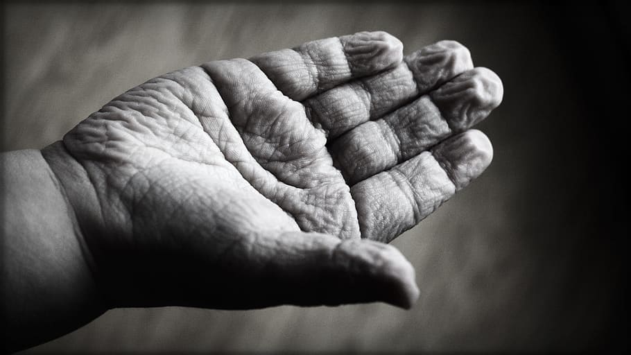 right, human, palm, grayscale photography, children, hand, creasy, open, wrinkles, aging
