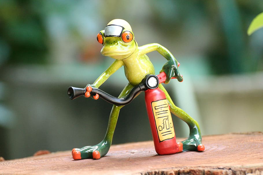 fire, fire extinguisher, frog, funny, delete exercise, fire fighting, fire extinguishing, rescue, feuerloeschuebung, red