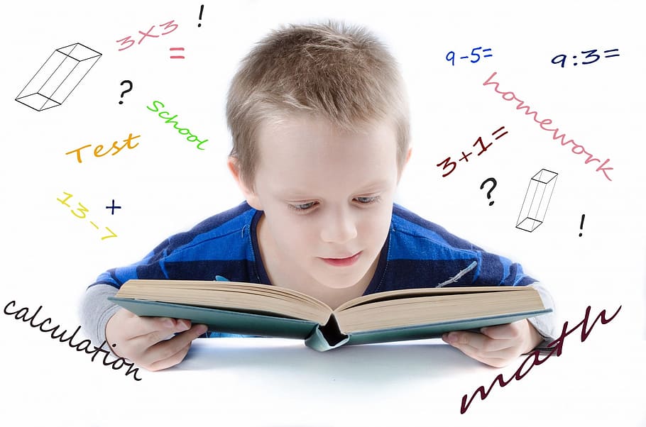 niño leyendo libro, gente, niño, escuela, genio, pizarra, estudiante, aprendizaje, gafas, matemáticas